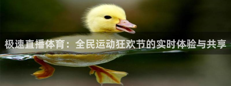 极速直播体育：全民运动狂欢节的实时体验与共享