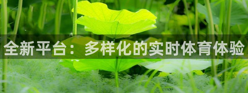 全新平台：多样化的实时体育体验