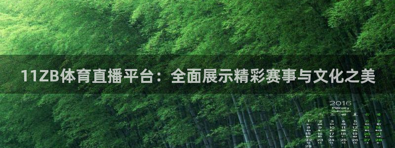 11ZB体育直播平台：全面展示精彩赛事与文化之美